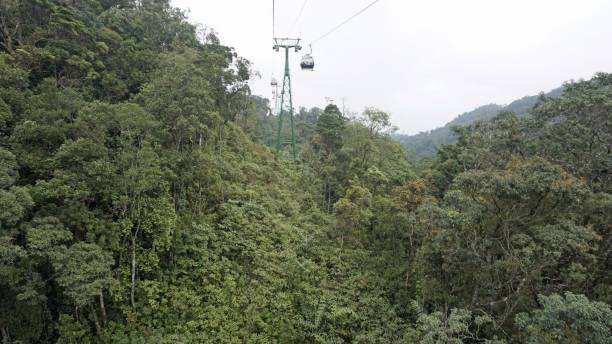 istock landscape in asia 1215689717