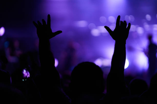 istock Cheering crowd at a rock concert. 1215690031