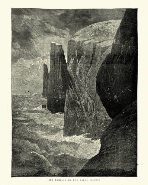 istock Sea fowling in the Faroe Islands, 19th Century 1215690123