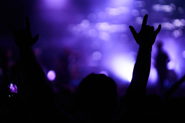 istock Cheering crowd at a rock concert. 1215690167