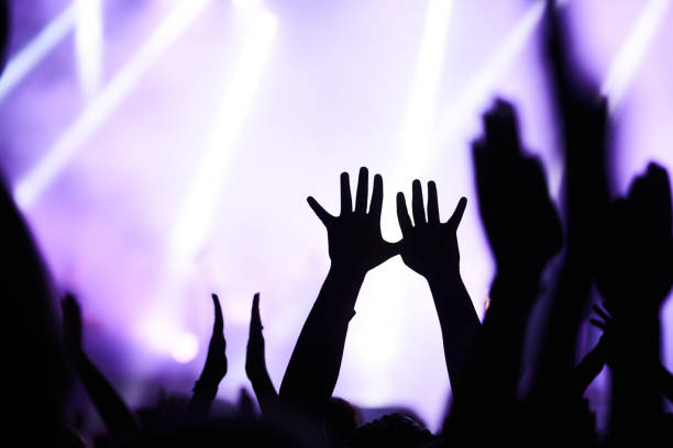 istock Cheering crowd at a rock concert. 1215690265