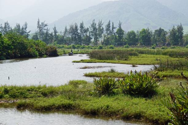 istock landscape in asia 1215690582