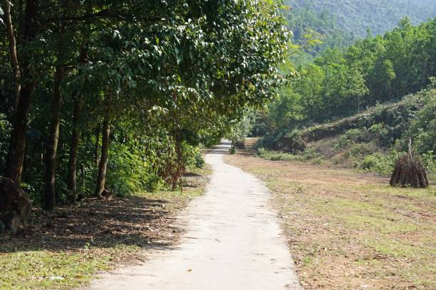 istock landscape in asia 1215690850