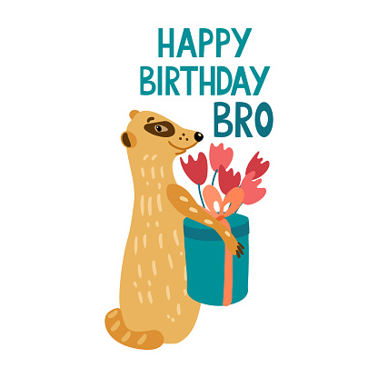 Happy Birthday bro. Lettering with an adorable meerkat holding a gift box and a bouquet of tulips for its friend. Hand drawn vector illustration isolated on white background. Greeting card.