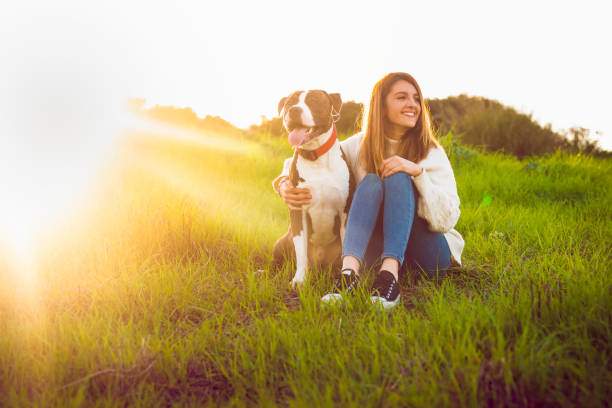 Young woman sitting with American Staffordshire terrier Young woman sitting with American Staffordshire terrier american staffordshire terrier stock pictures, royalty-free photos & images