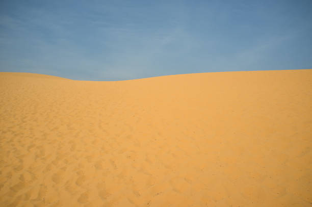 Picture for creative wallpaper or design art work. Sand and sky pattern. Wavy surface of sand dunes. Decoration concept. Summer background. Desert theme. Wind traces. Nature design.