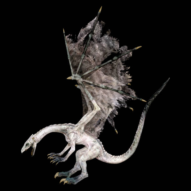 istock 3D illustration fantasy dragon on black 1215698301