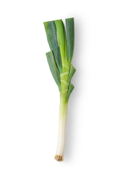 istock Green Japanese Bunching Onion on White Background. top view 1215699025