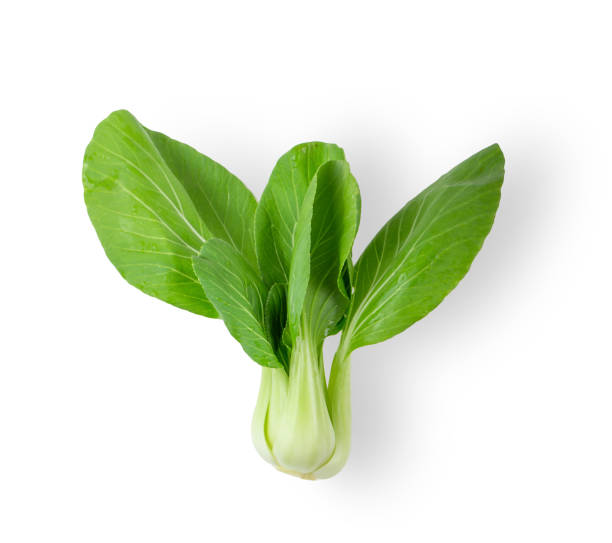 istock Bok choy vegetable isolated on the white background. top view 1215699212