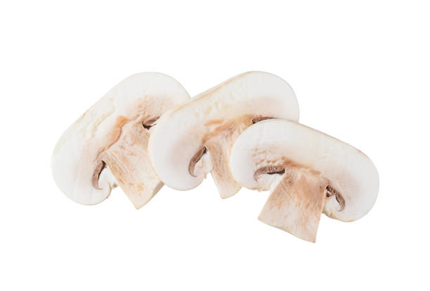 istock Raw slice champignon isolated on white background. top view 1215699221