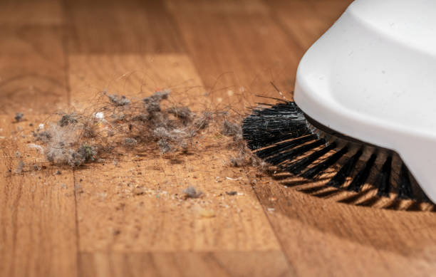 istock mechanical brush collects dust from the floor, close-up 1215700829