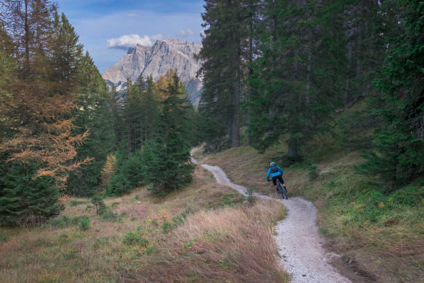 자전거 공원 lermoos에서 숲 두 싱글 트레일에서 산악 자전거 - zugspitze mountain tirol lermoos ehrwald 뉴스 사진 이미지