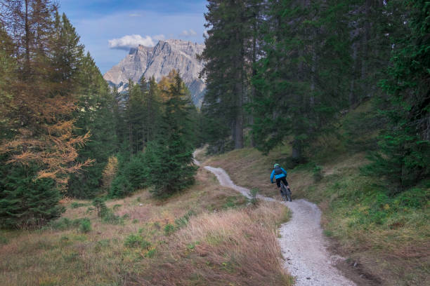 mountainbiking na floresta dois monotrail em bikepark lermoos - zugspitze mountain tirol lermoos ehrwald - fotografias e filmes do acervo