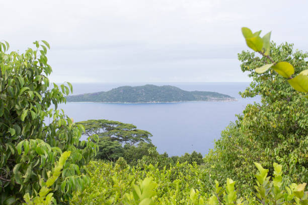 istock Panoramic view of Seychelles islands 1215703865