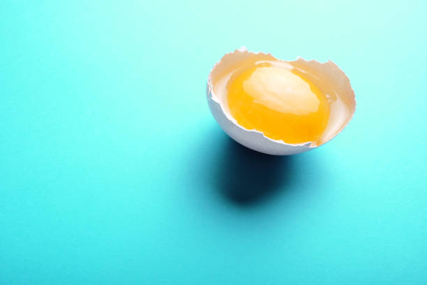 istock Broken white egg on a vivid aqua blue background. 1215704054