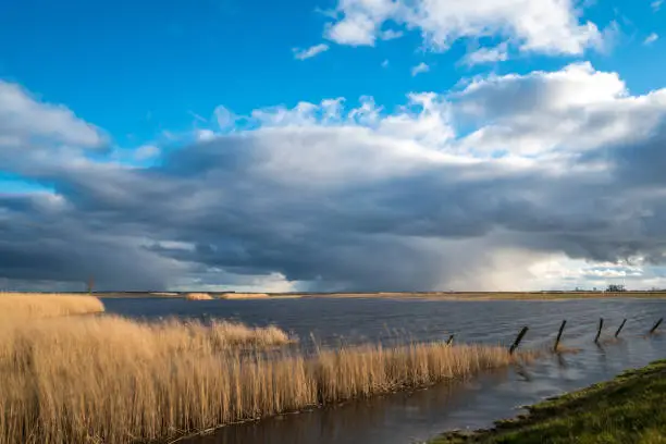 Landscape shot of stormy clouds rolling in with a moor and reeds in the forground