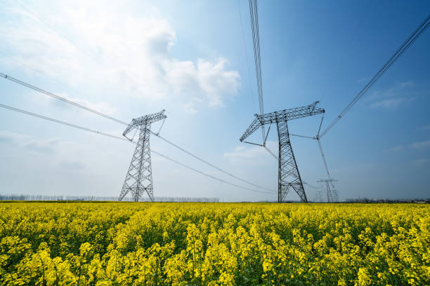 istock High-voltage transmission towers in canola fields 1215705838