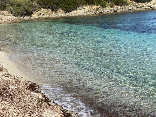 istock Corsican calm Mediterranean sea 1215707385