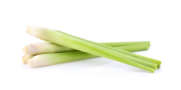 lemongrass on a white background - lemon grass imagens e fotografias de stock