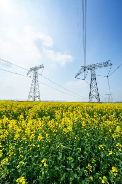 istock High-voltage transmission towers in canola fields 1215708298