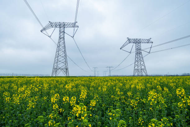 istock High-voltage transmission towers in canola fields 1215709275