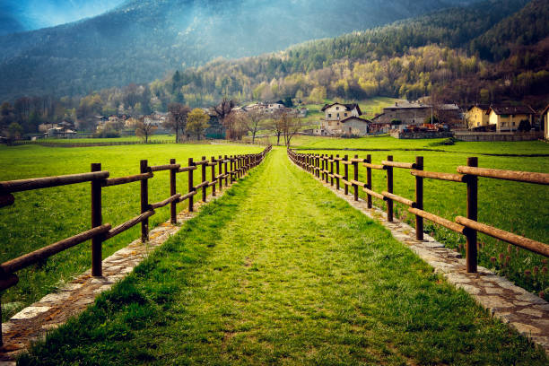 vintage regardant près d’ussel. aoste. italie - footpath european alps fence woods photos et images de collection