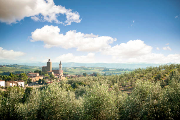 Panoramic view of Vinci town in Tuscany, Italy The town of Vinci, located on the slopes of Montalbano, surrounded as far as the eye can see by vineyards and olive groves, between the hills of Valdelsa and those of Montalbano. It is a well-preserved and pleasant medieval center to visit, internationally known for being the birthplace of the greatest genius of the Italian Renaissance: Leonardo da Vinci (1452-1519). Even today, the life of the town revolves around the figure of the eclectic Renaissance figure and the town itself has become a sort of widespread museum dedicated to genius. olive orchard stock pictures, royalty-free photos & images