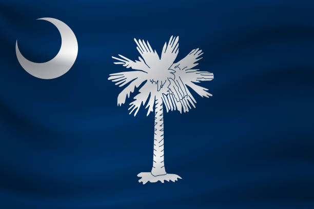 istock Waving flag of South Carolina. Vector illustration 1215711000