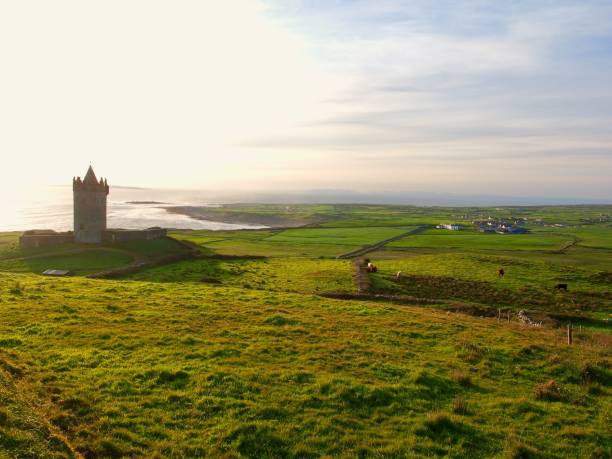 istock Green pastures of Ireland 1215711899