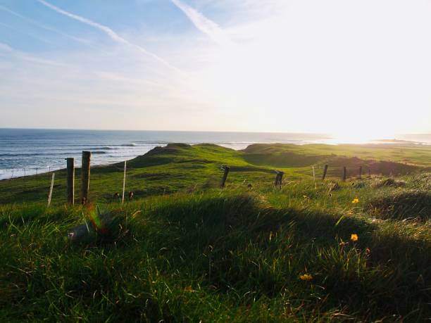 istock Green pastures of Ireland 1215711912