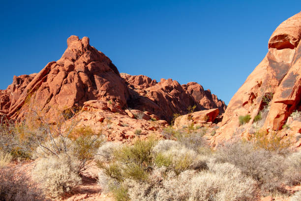 istock Colorful rock formations in the beautiful desert scenery. 1215712958