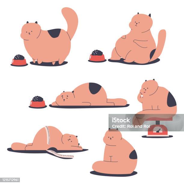 Karakter Kartun Vektor Kucing Gemuk Dan Obesitas Diatur Terisolasi Pada