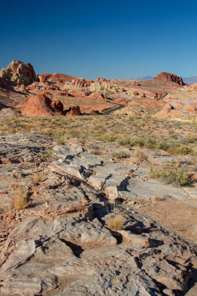 istock Colorful rock formations in the beautiful desert scenery. 1215713024