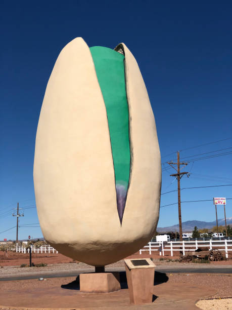 pistacho más grande del mundo cerca de alamogordo, nuevo méxico - alamogordo fotografías e imágenes de stock