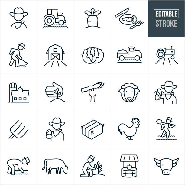 Agriculture and Farming Thin Line Icons - Editable Stroke A set of agriculture and farming icons that include editable strokes or outlines using the EPS vector file. The icons include a farmer, cowboy, tractor in fields, carrot growing in ground, carrot on a plate to represent fresh vegetables, farmer using hoe on crops, barn and field, lettuce, farmers truck, tractor in farmers field, silo and barn, crops growing in field, asparagus on fork, sheep, farmer holding an ear of corn, pitchfork, farmer holding chicken egg, bail of hay, rooster, farmer tending fields, cow, farmer growing tree, water well and a bull to name a few. farmer icons stock illustrations