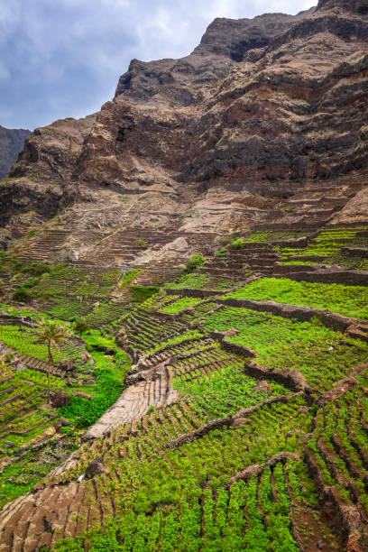 istock Terrace fields in Santo Antao island, Cape Verde 1215717090