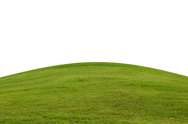istock Green grass field isolated on white background with clipping path. 1215719035