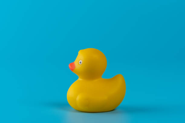 istock Yellow rubber duck on blue background. Summer minimal concept. 1215721082
