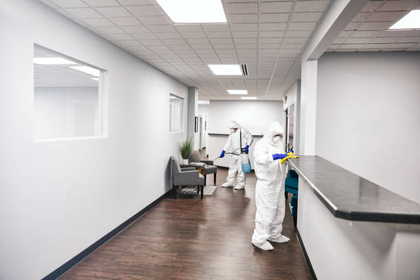 istock Cleaning And Disinfecting Office 1215724905
