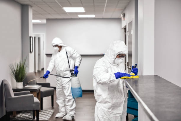 Cleaning And Disinfecting Office Two people in protective workwear cleaning and disinfecting offices. protective glove photos stock pictures, royalty-free photos & images