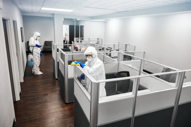 istock Cleaning And Disinfecting Office 1215724960