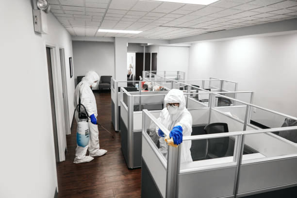 Cleaning And Disinfecting Office Two people in protective workwear cleaning and disinfecting offices. office cubicle mask stock pictures, royalty-free photos & images