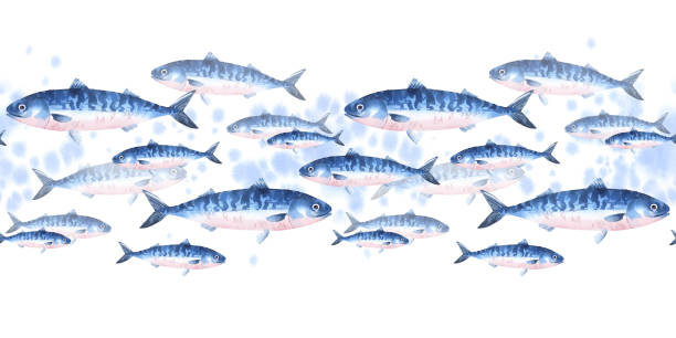 サバの魚の学校 - white background spotted wildlife nature点のイラスト素材／クリップアート素材／マンガ素材／アイコン素材