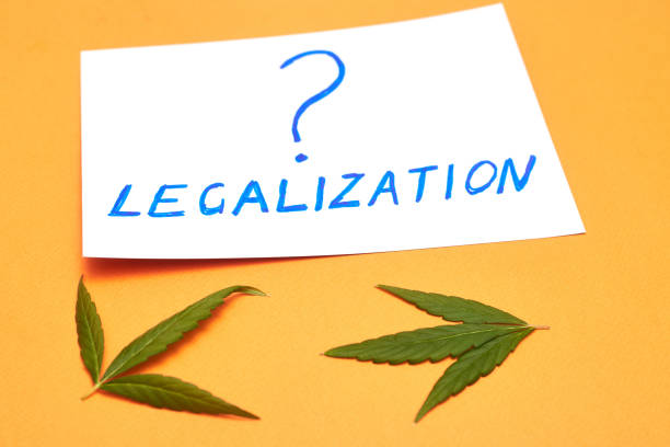 istock Legalization of marijuana question concept on a orange background with cannabis leaf. 1215725442