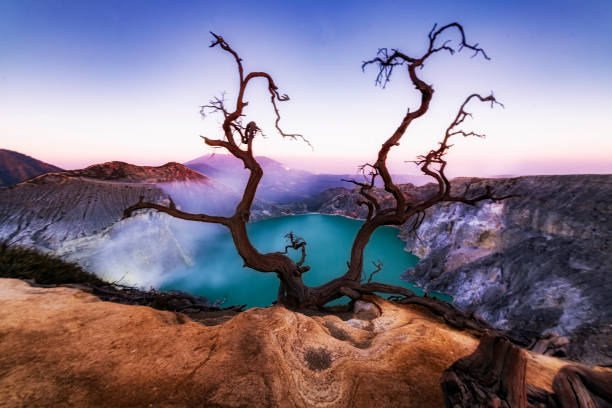 istock Ijen Crater in the morning atmosphere 1215725814