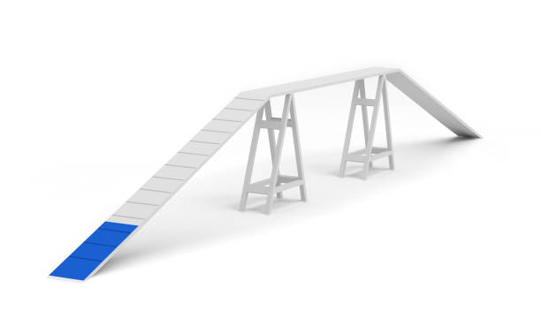 istock dog walk obstacle agility dog training bridge ramp 1215725843