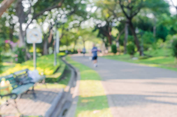 istock Park tree in the morning ,park garden tree in nature background 1215725912