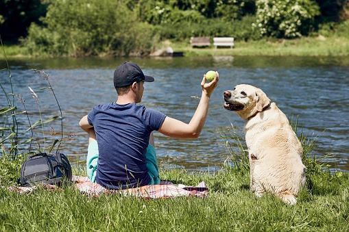 Summertime relaxation with dog. Young man playing with his labrador retriver on riverside.