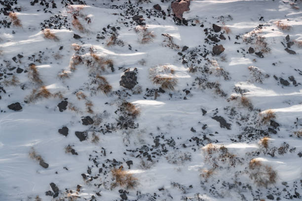 istock Dry grass under white clear snow on slopes at sunset, prickly grass peek out from under snow, mountains is on background 1215727824