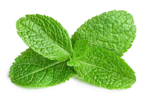 istock Delicious mint leaves on white 1215728284